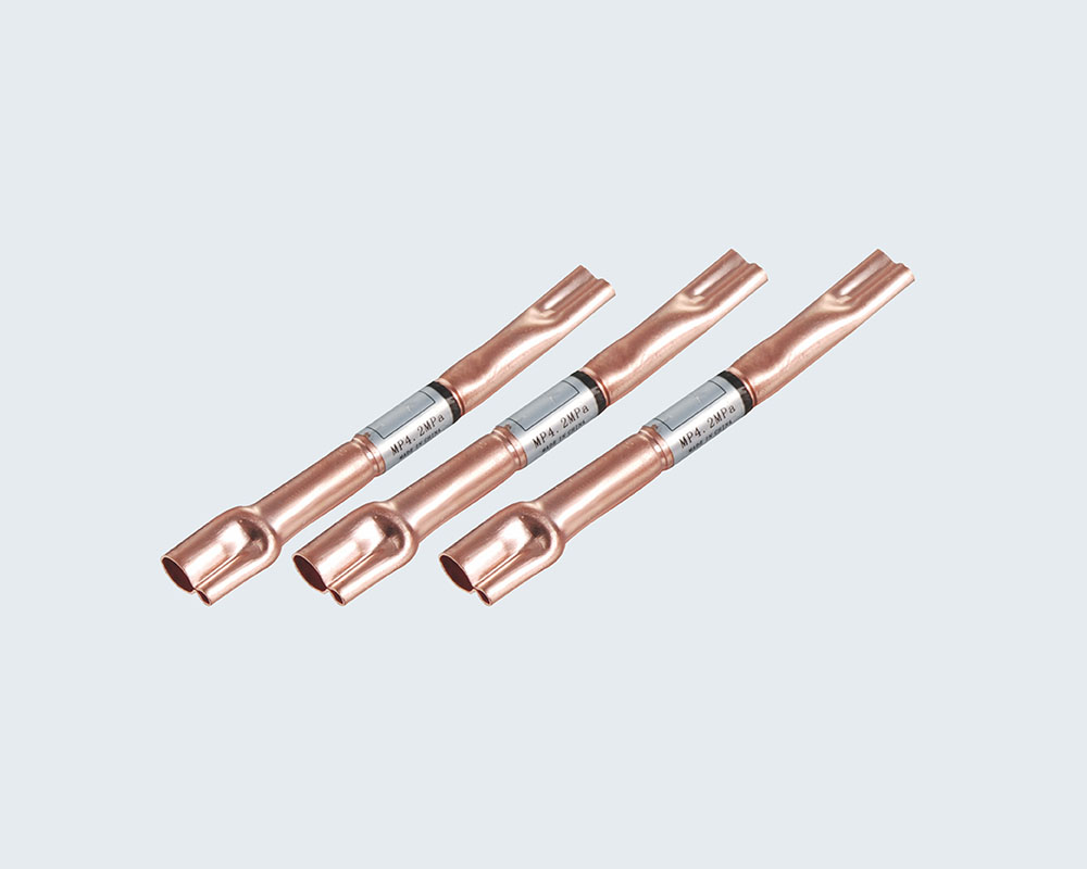 Check valve